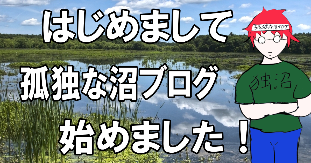 はじめまして、孤独な沼ブログ始めました！